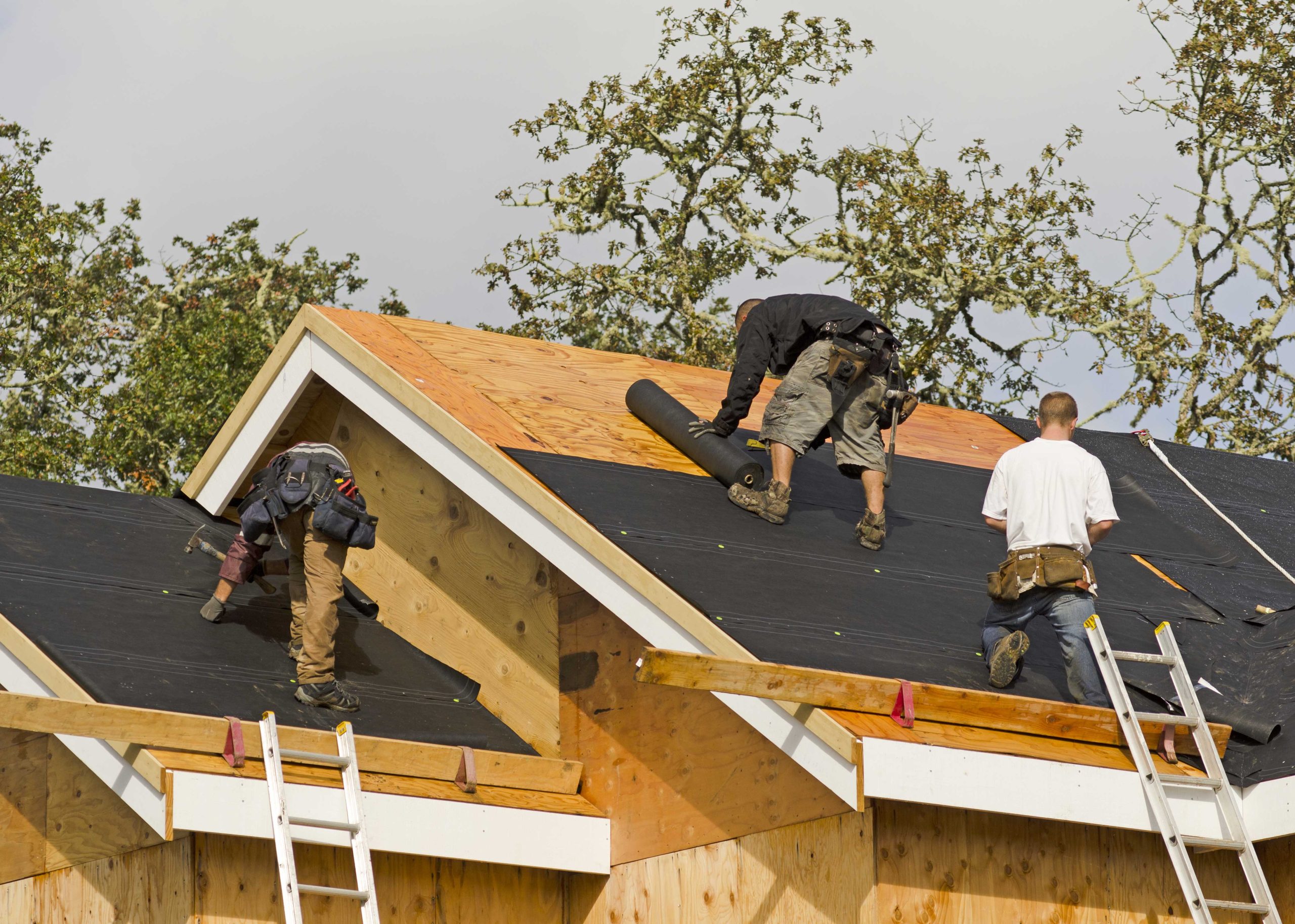 Professional roofers in Rockford